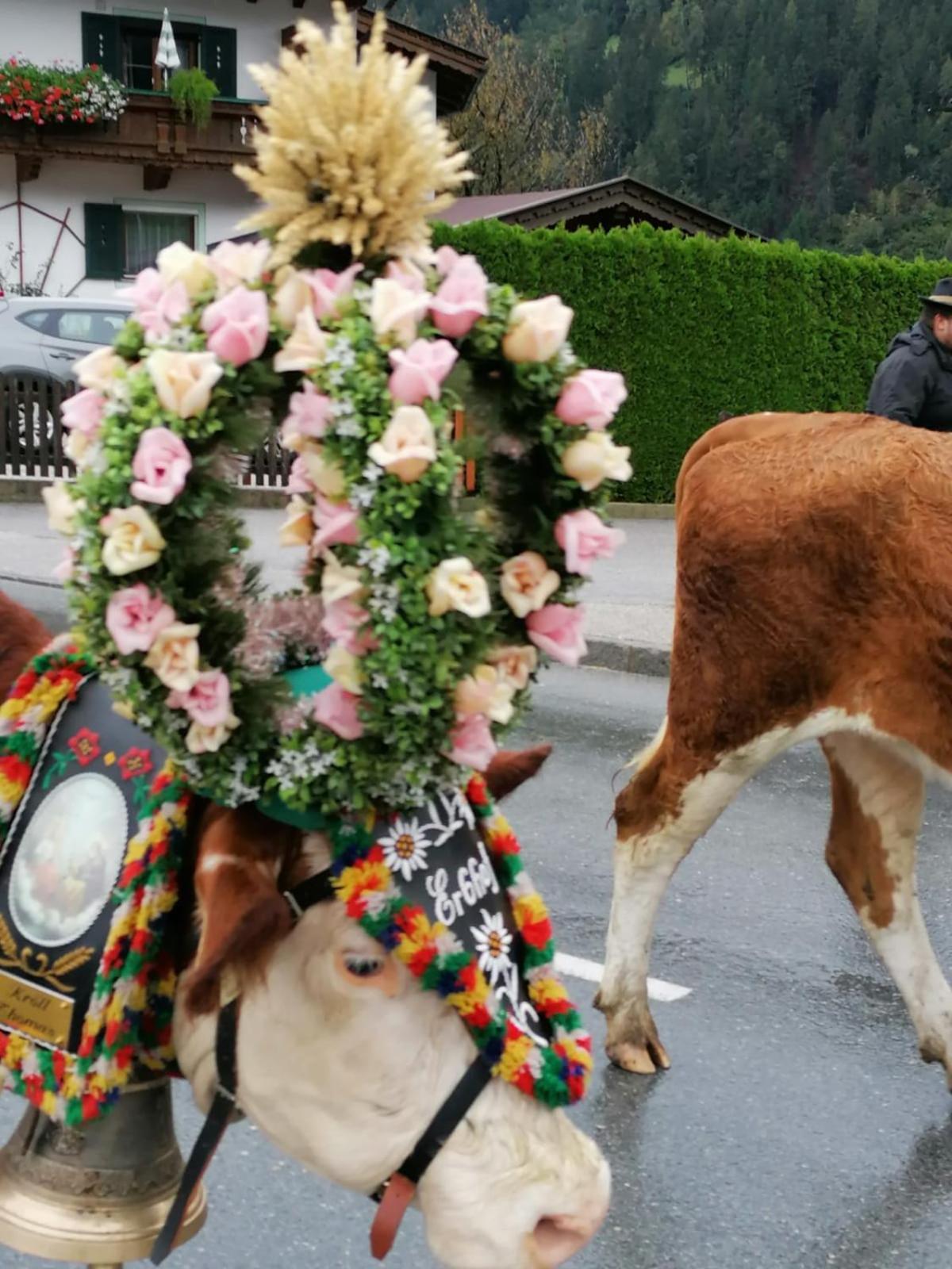 Appartement Eberharter Conny Zell am Ziller Eksteriør bilde