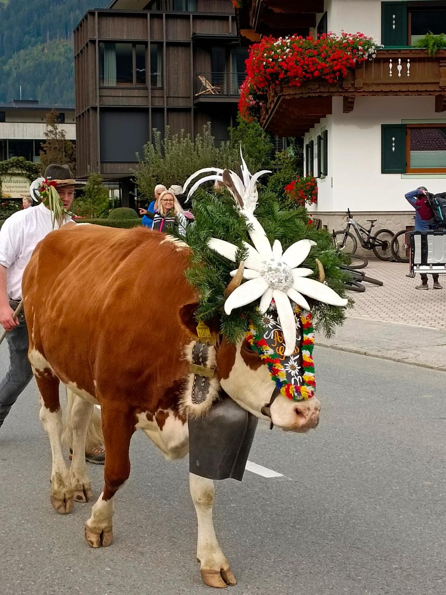 Appartement Eberharter Conny Zell am Ziller Eksteriør bilde